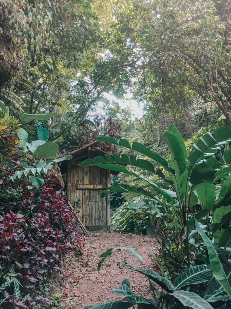 Bali Munduk Jungle Hut