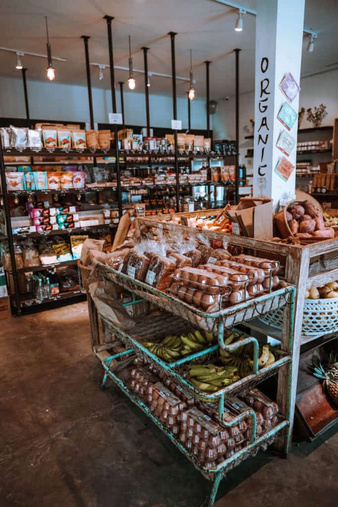 Wholefoods Store Canggu