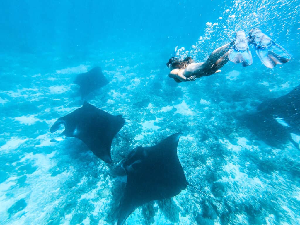 Women diving with Manta Rays at Komodo National Park