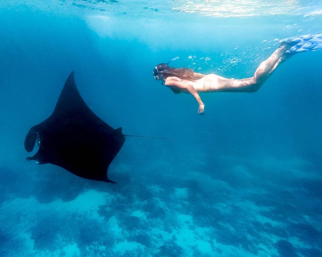 Women Diving with Manta Ray in Komodo National Park