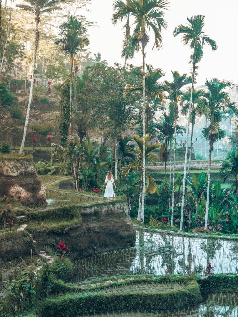 Women walking in Tegallalang Rice Field Ubud Bali