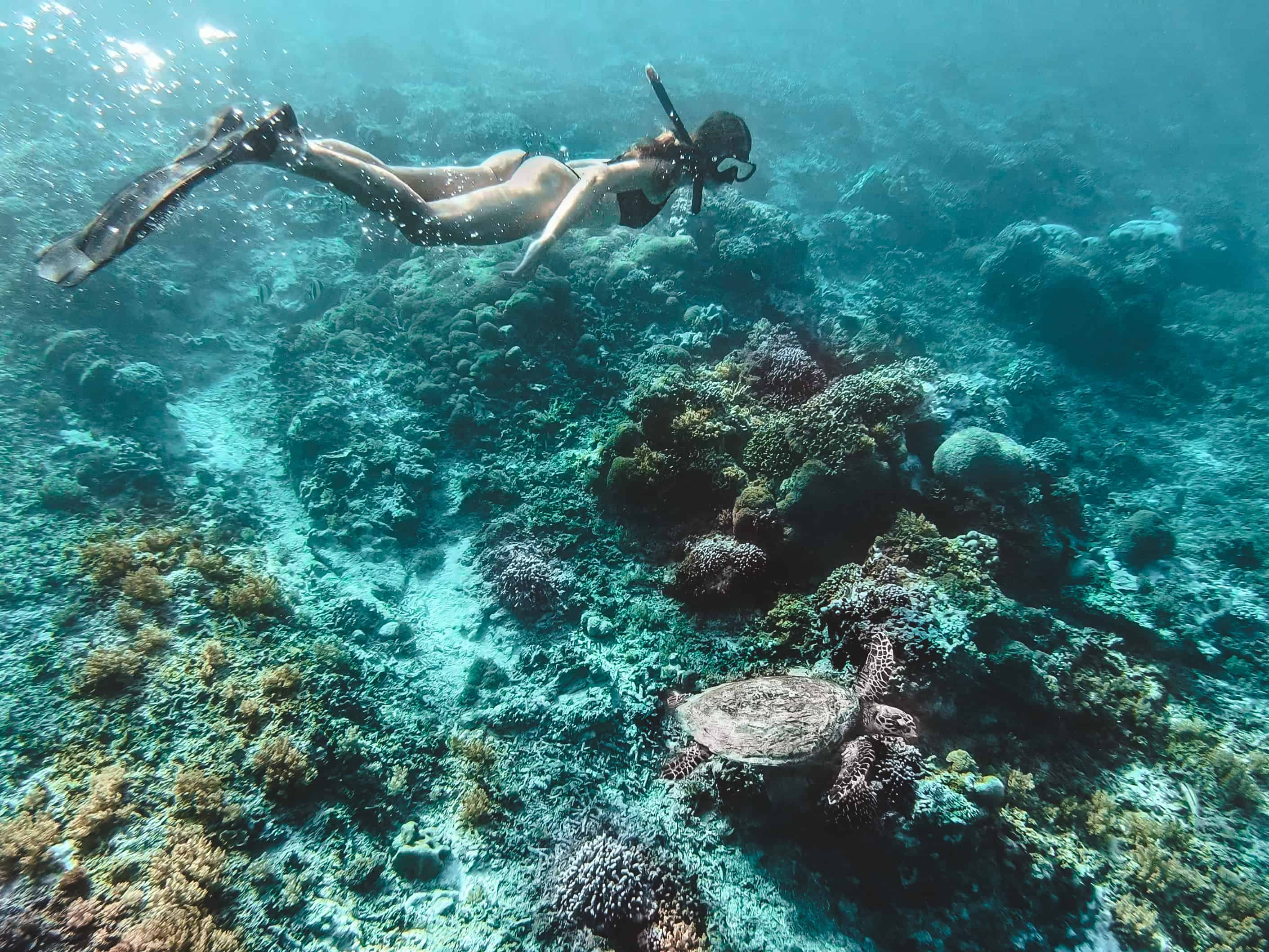 Women is snorkeling with sea turtle on Gili Air