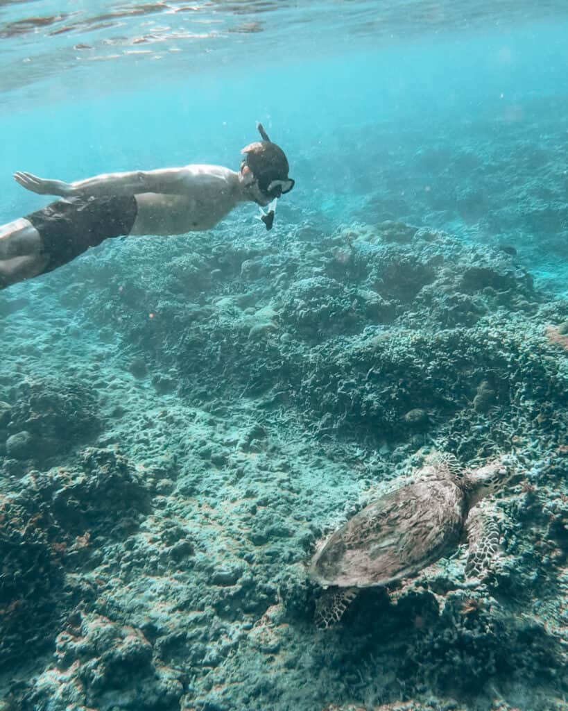 Man is snorkeling with sea turtle on Gili Air