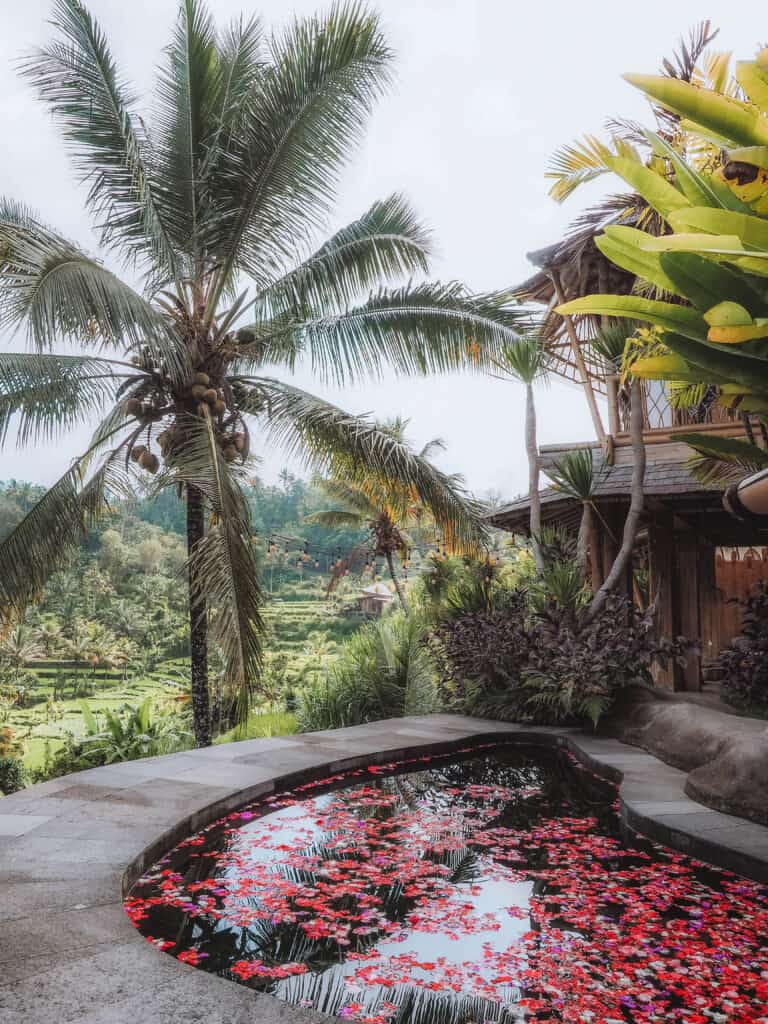 Bali Camaya Bamboo House Pool