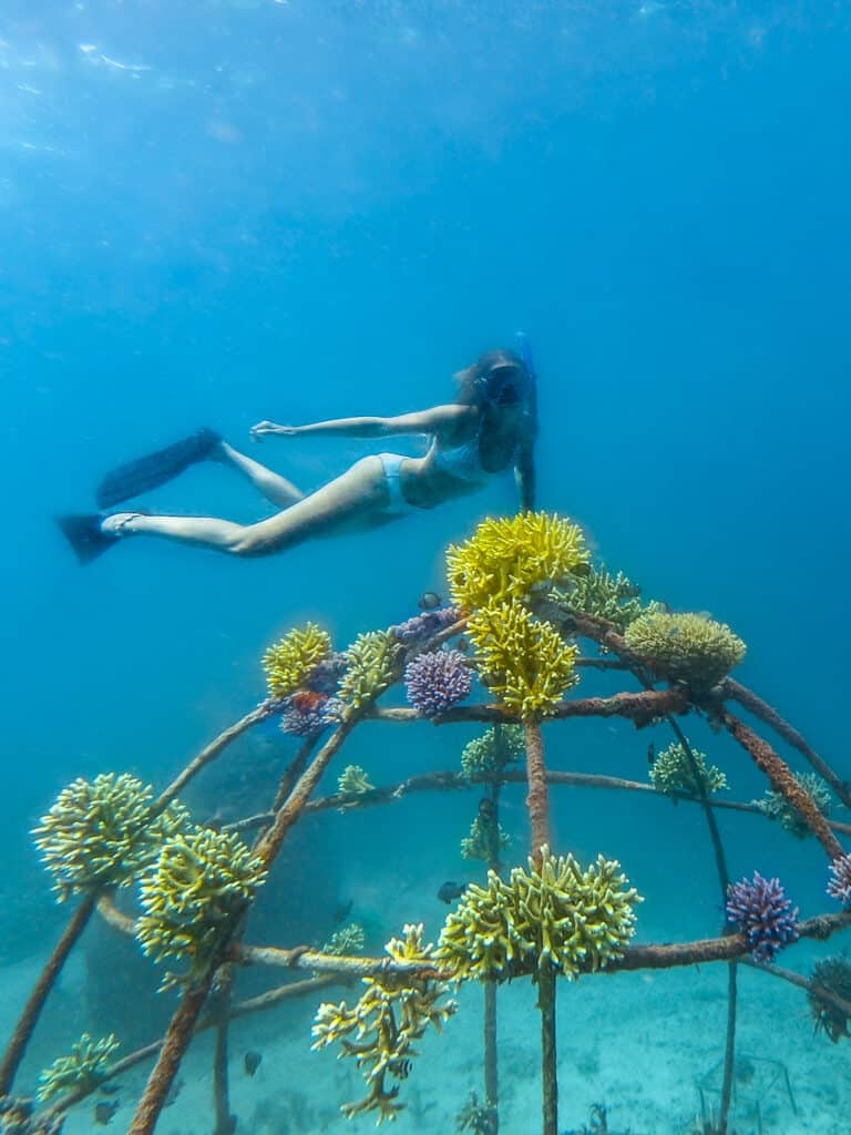 Woman Diving Coral Gardening