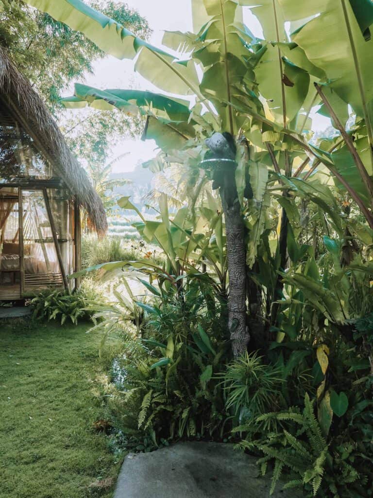 Bali Hideout Hay House Eco Travel