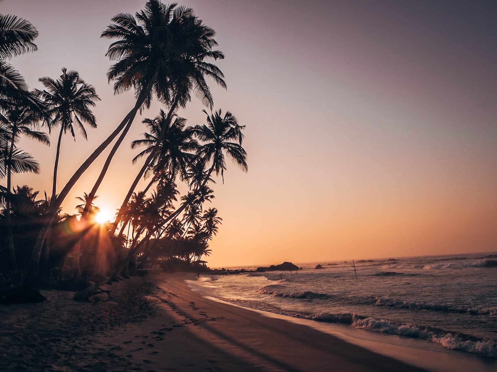 Dalawella Beach Palm Rope Swing Sunrise