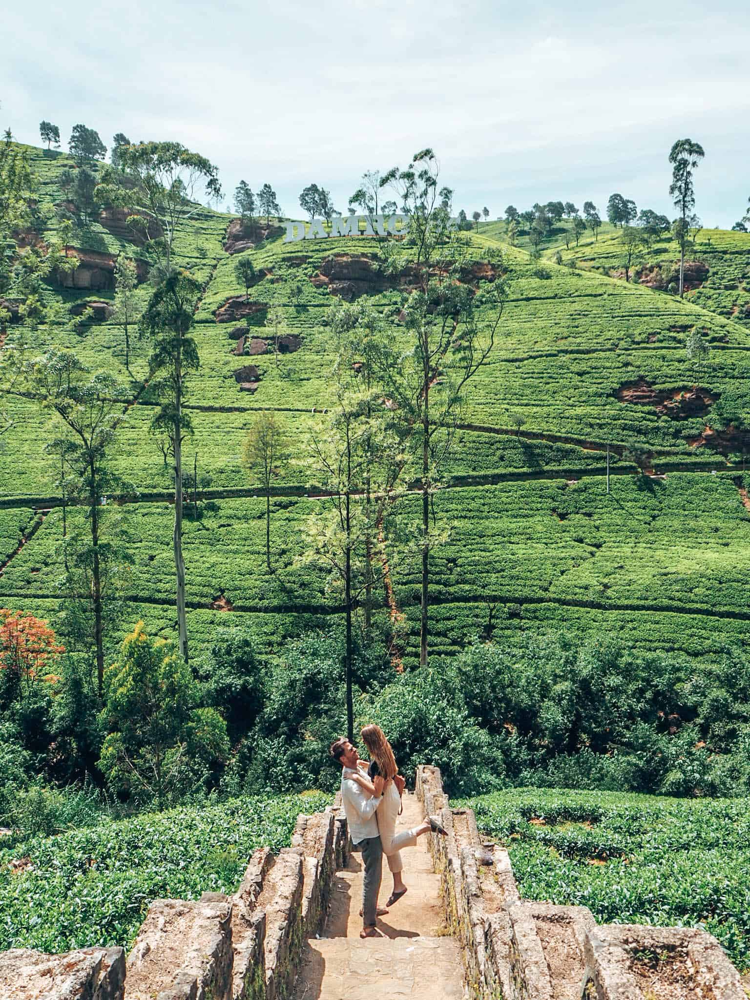 Couple in front of Tea fields at Damro Tea Plantation Nuwara Eliya