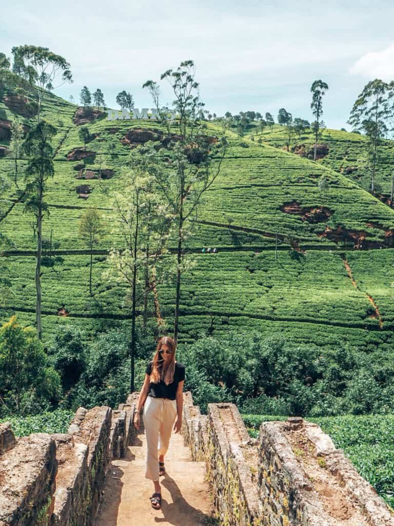 Women in front of Tea fields at Damro Tea Plantation Nuwara Eliya