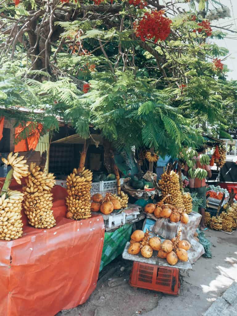 Fruit stall in Negombo Sri Lanka