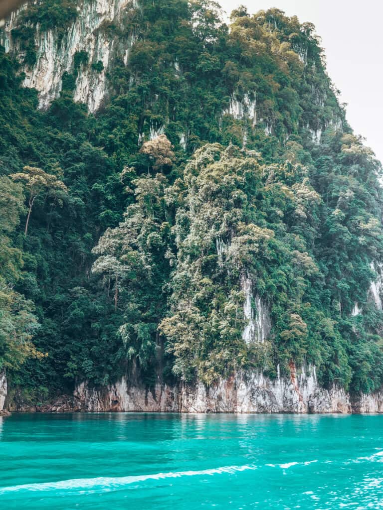 Khao Sok National Park Lime Tree Stone