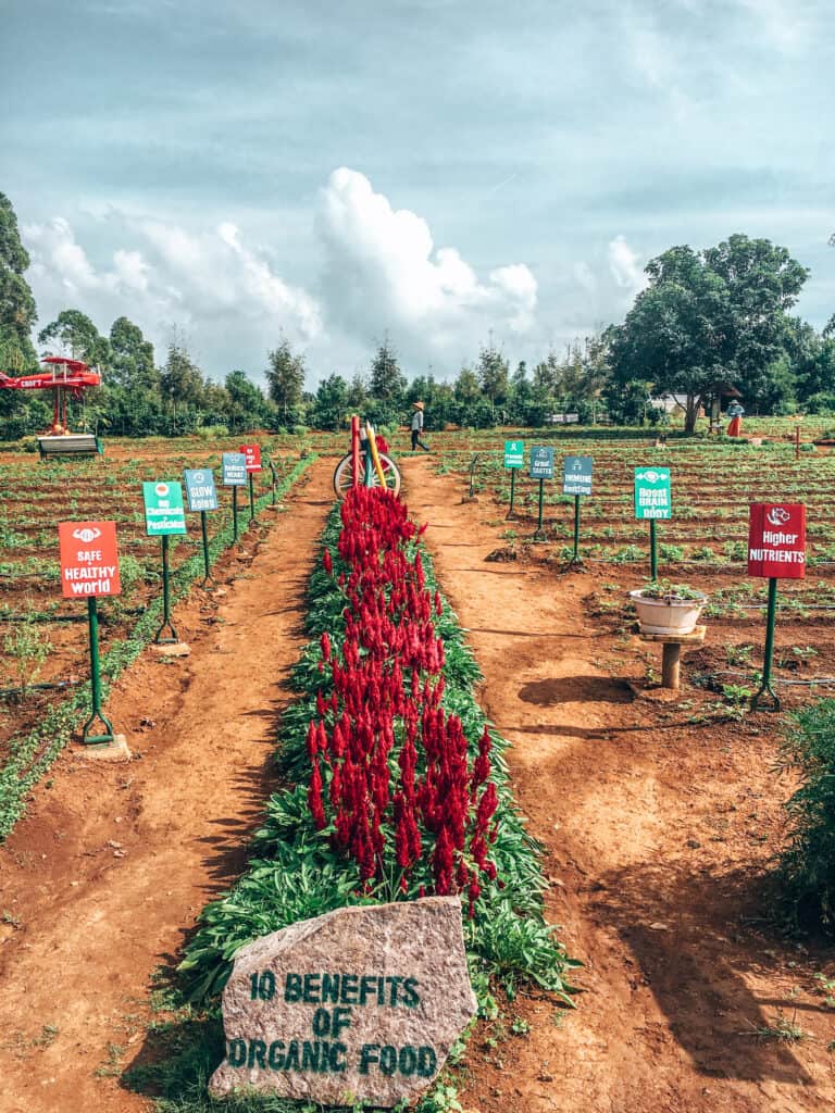 The Croft Organic Farm Pyin Oo Lwin