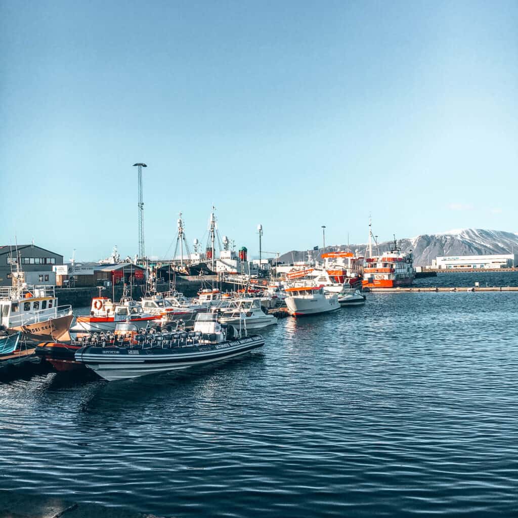 Ships in port of Reykjavik