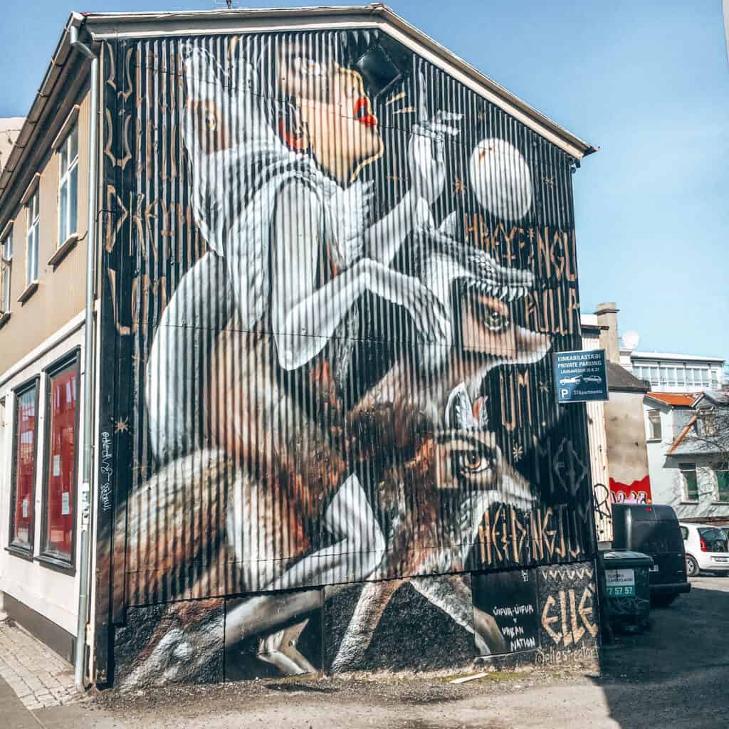 Street Art Reykjavik fox women