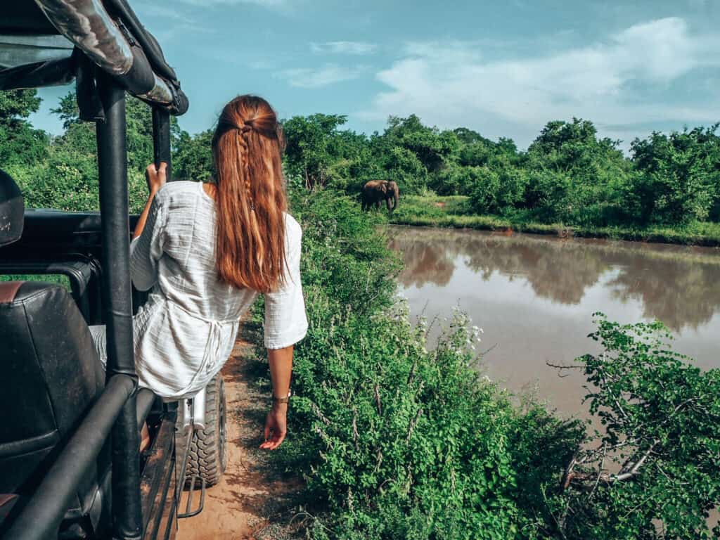 Women sitting on jeep and looking at Elephant in Udawalawe National Park Sri Lanka