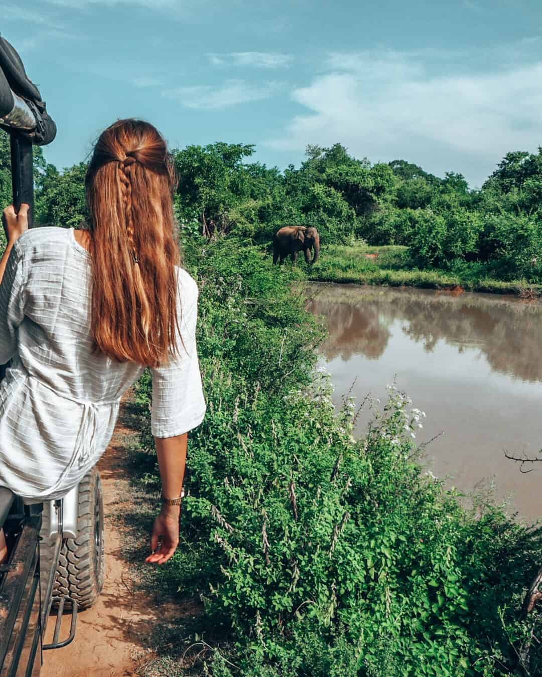 Women sitting on jeep and looking at Elephant in Udawalawe National Park Sri Lanka