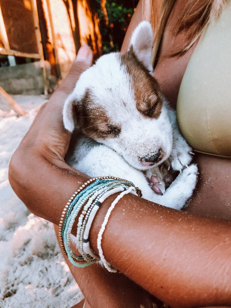 El Nido Las Cabanas Beach Woman Dog