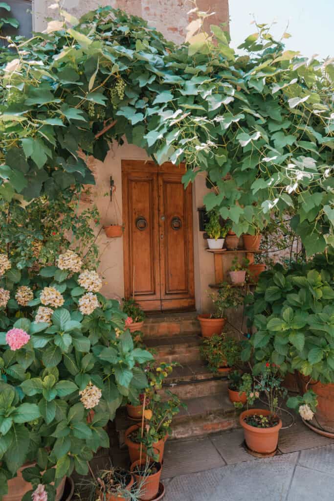 Tuscany Pienza Overgrown Door