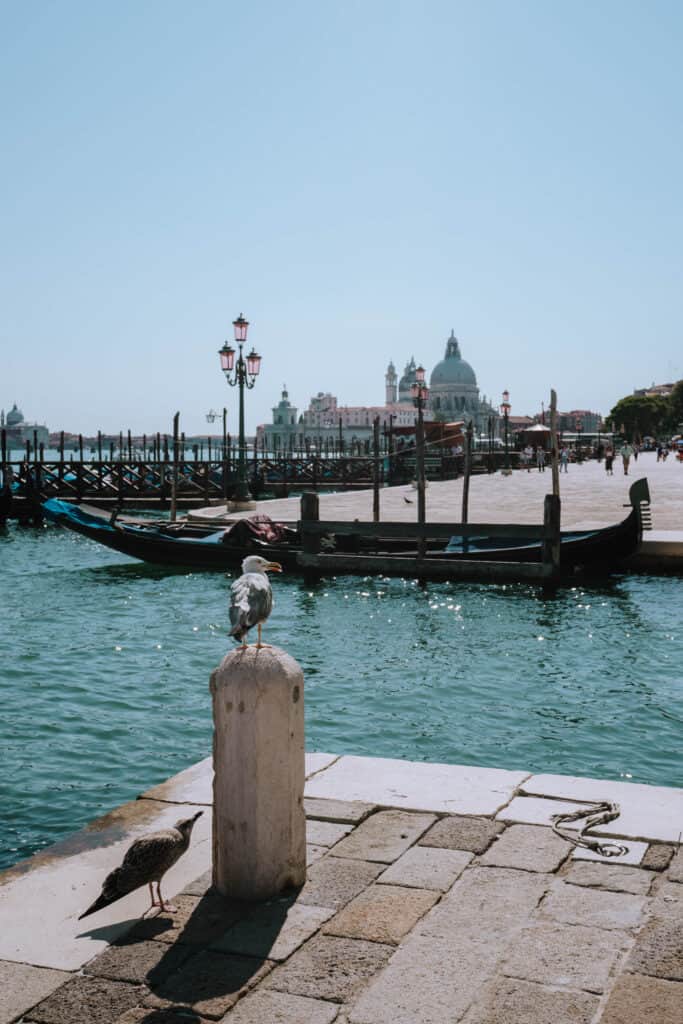 Italy Venice San Marco Canal Boat