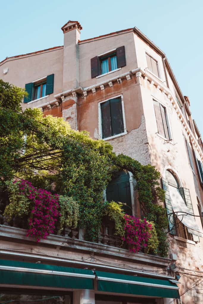 Italy Venice Overgrown Terrace