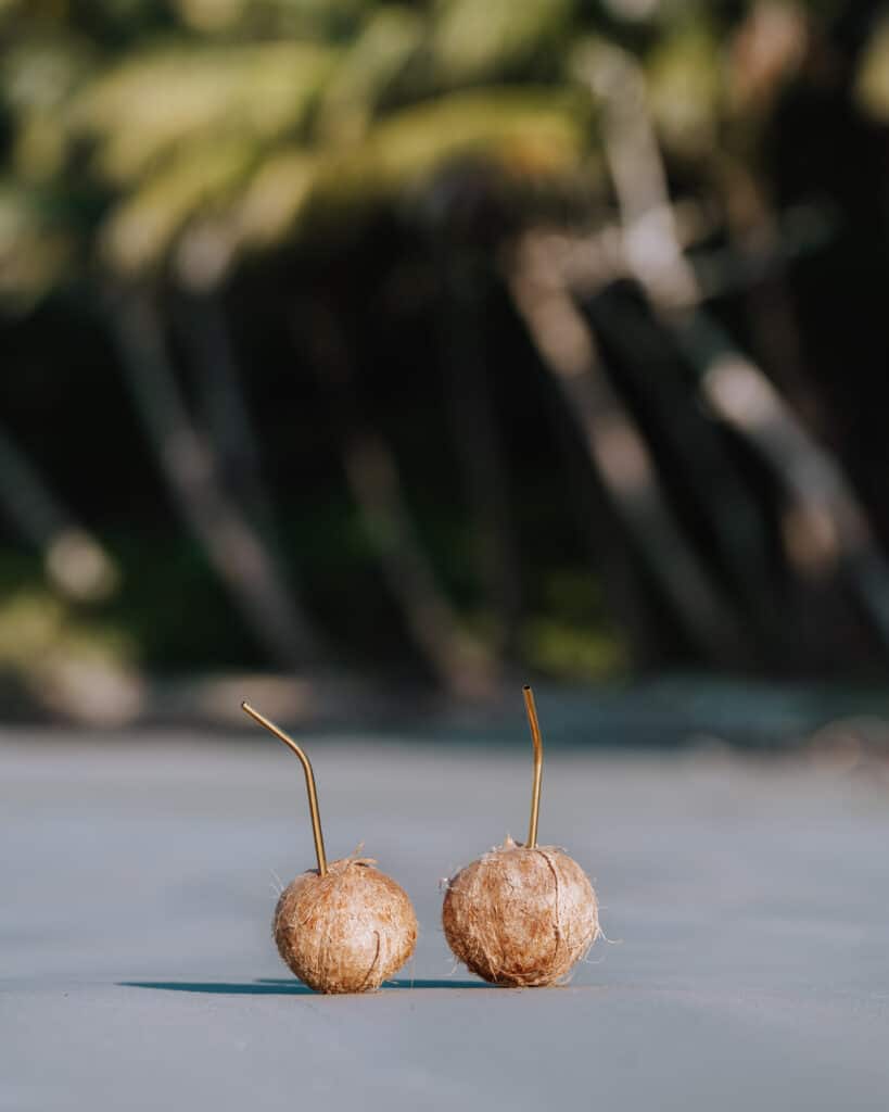 Eco travelers drink coconuts from reusable straws