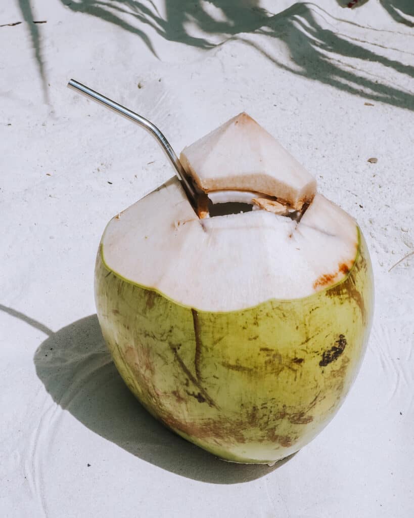 Coconut with Reusable Straw