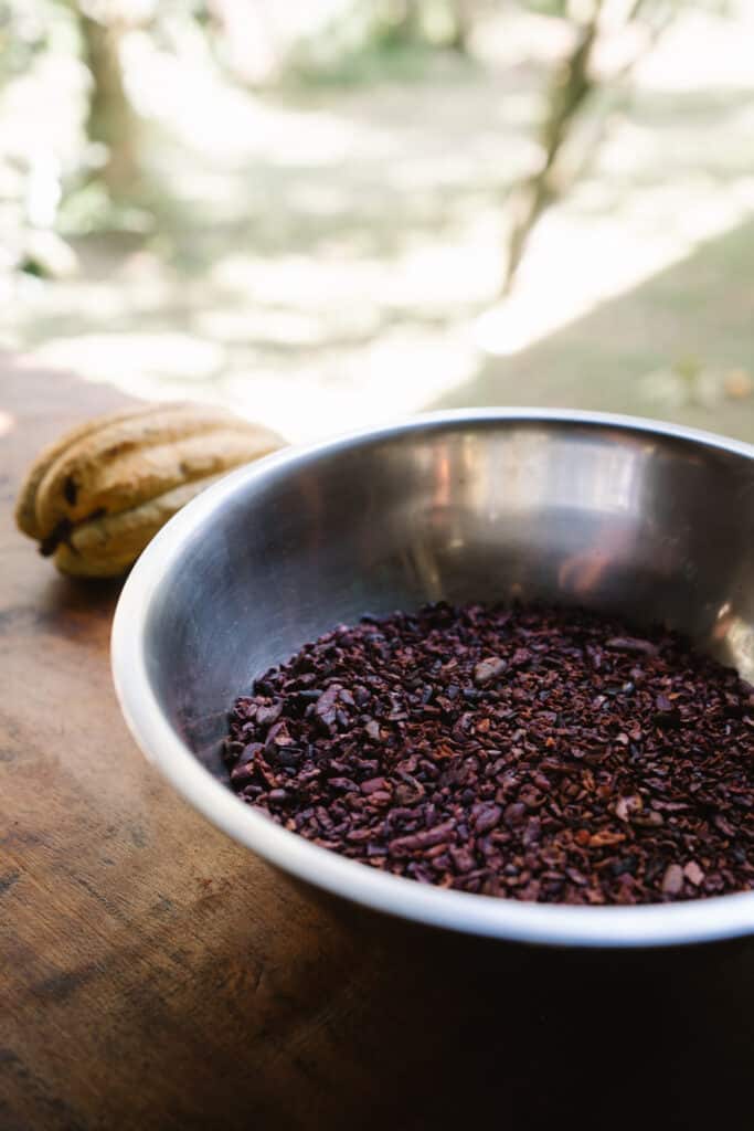 Raw cacao nibs