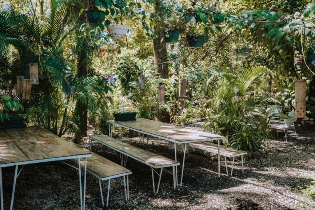 LUV Burger seating area with benches at Nosara Costa Rica