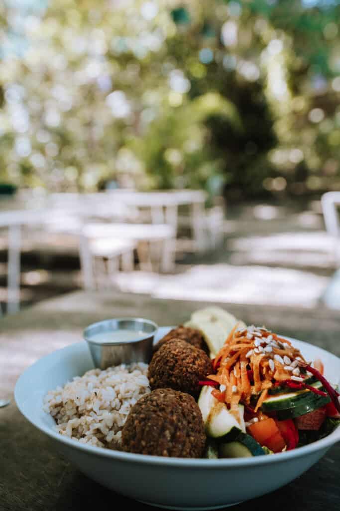 Falafel at LUV Burger Nosara Costa Rica