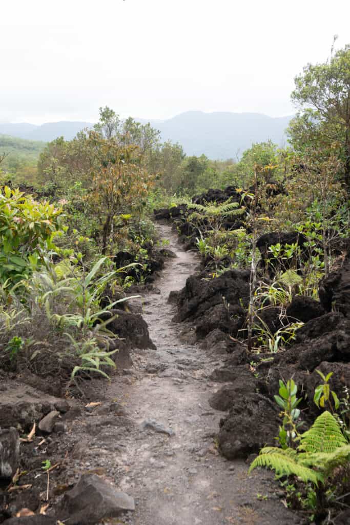 Arenal 1968 hiking trail