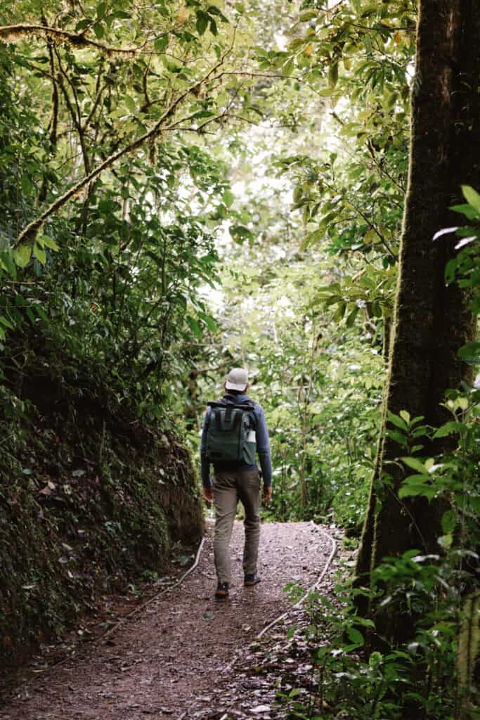 Hiking trail through the mystical Monteverde Cloud Forest Costa Rica