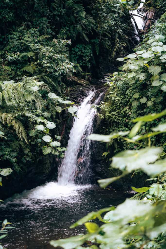 Waterfall in Monteverde Cloud Forest Costa Rica
