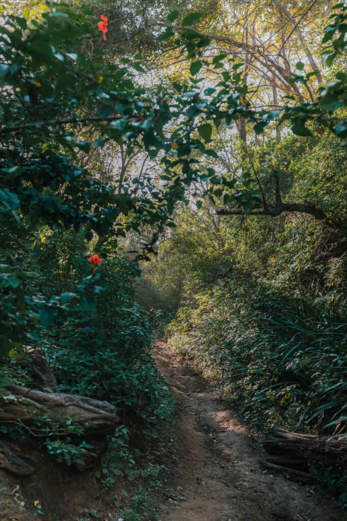 Path to San Juanillo Beach