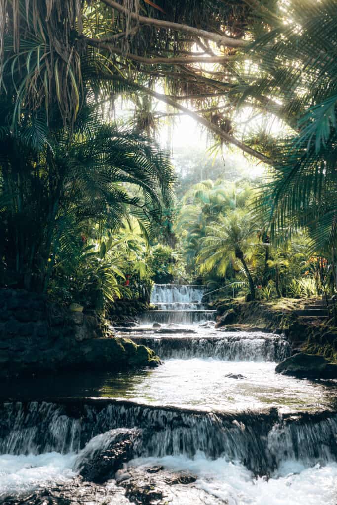 A waterfall in a tropical jungle.