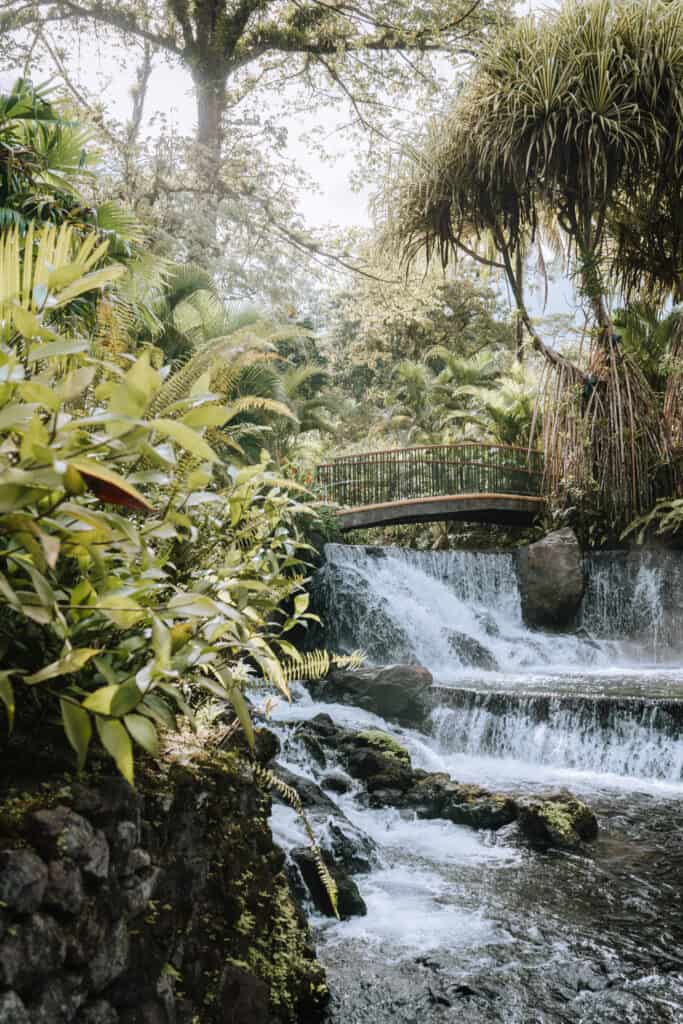 A waterfall in the middle of a lush tropical garden.