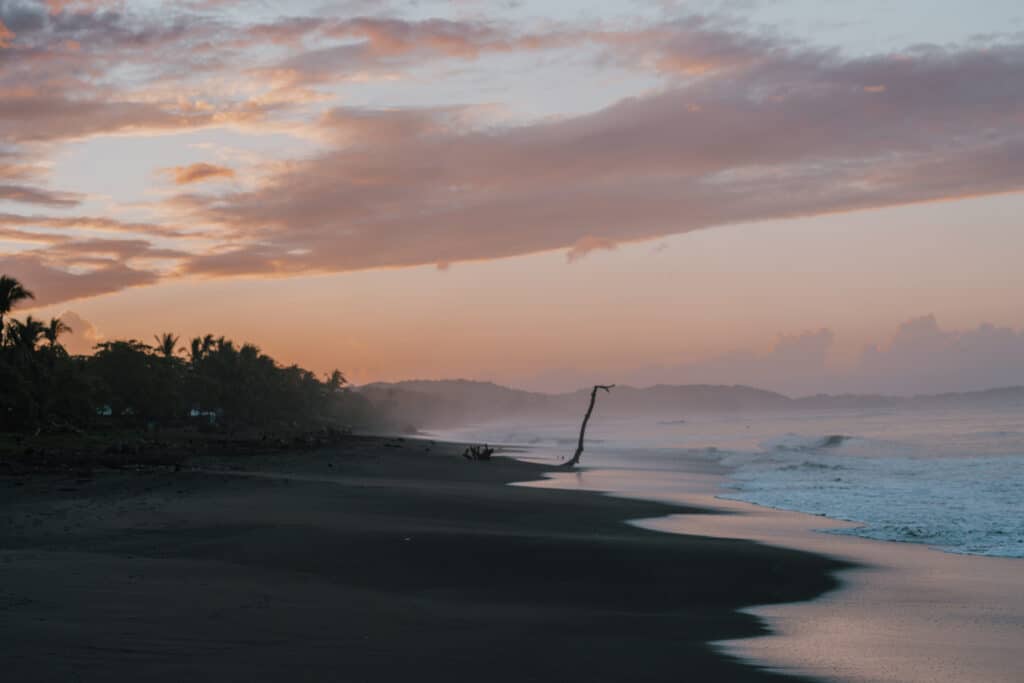 Ostional Beach Costa Rica