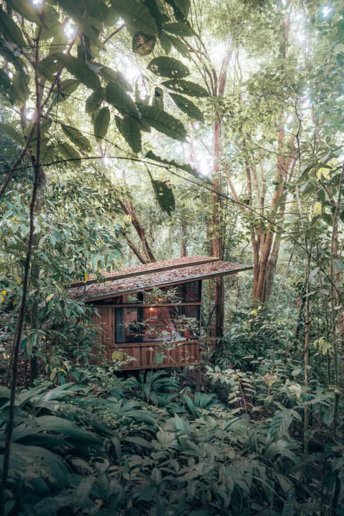 Cottage in the jungle Quepos Manuel Antonio Costa Rica