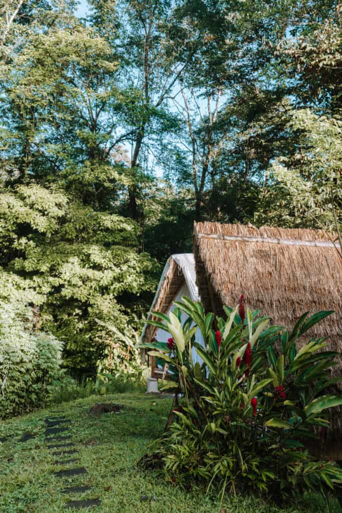 Finca Tierra Permaculture Design Course Huts