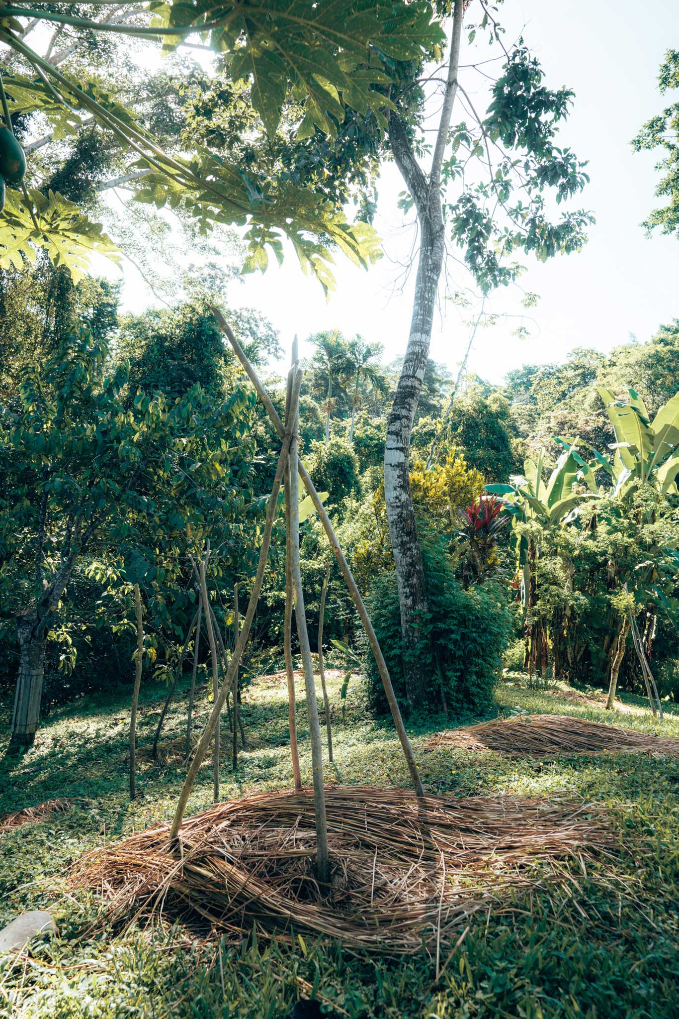 Finca Tierra Permaculture Design Course fields