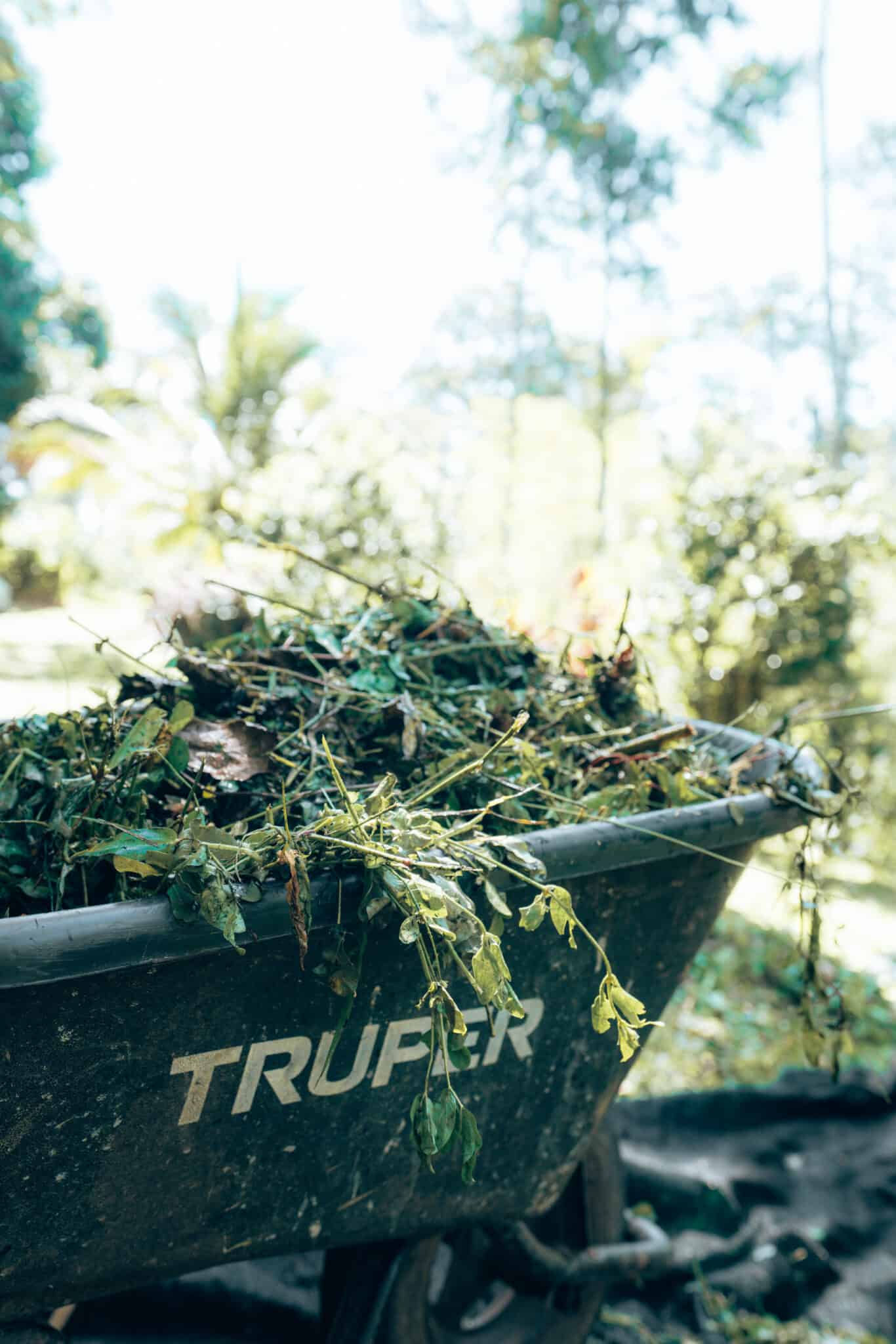 Finca Tierra Permaculture Design Course field work making compost wheelbarrow