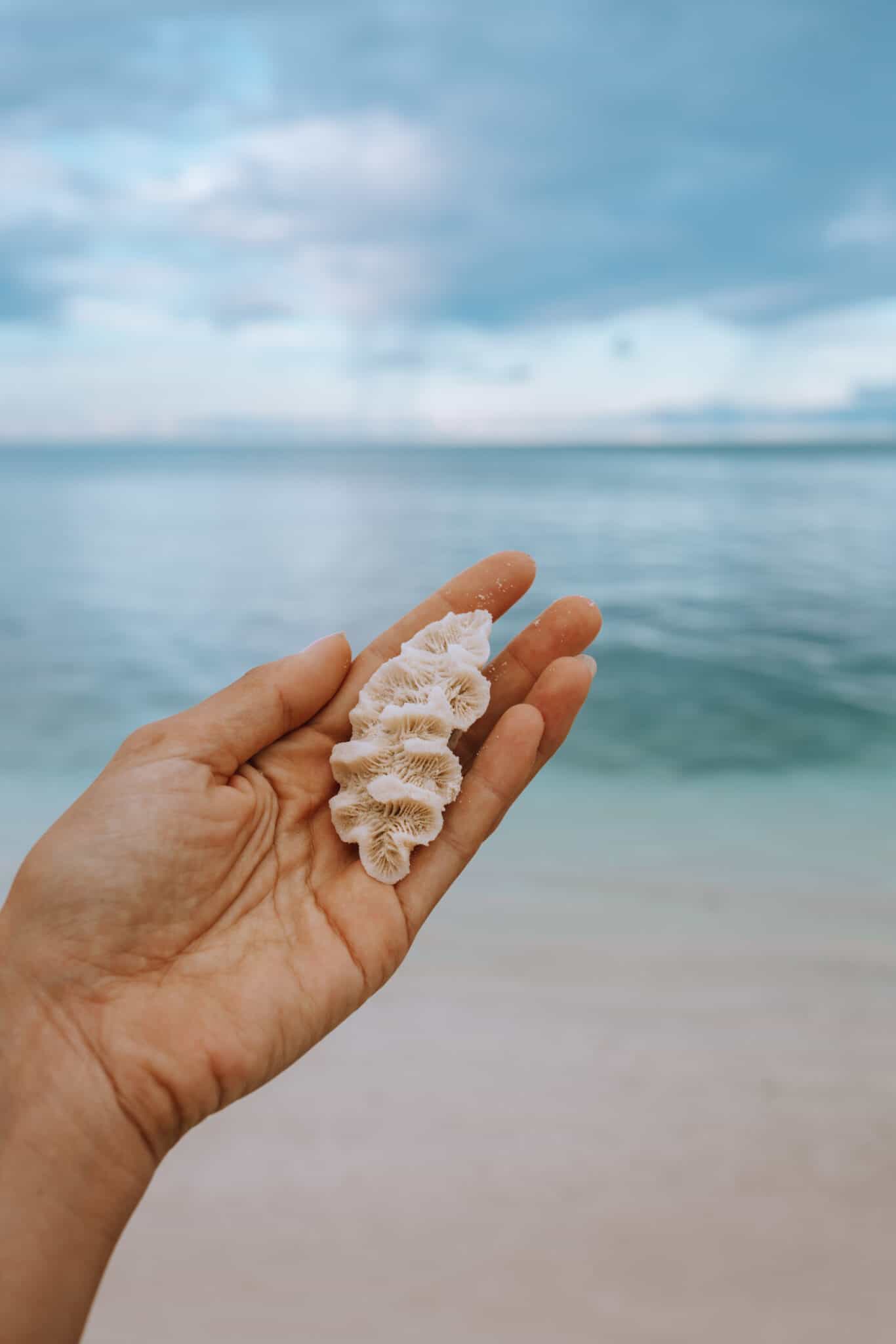 San Blas Islands Coral Beach