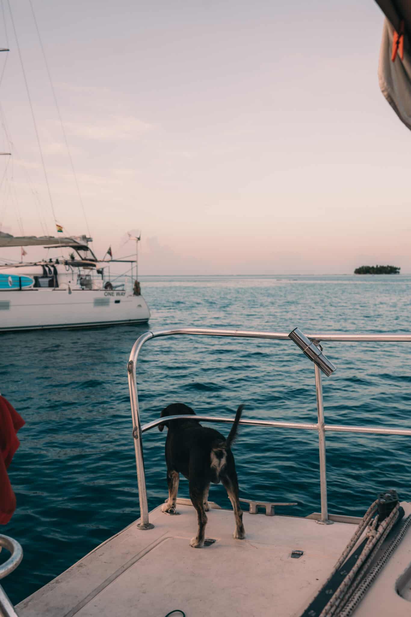 San Blas Islands Dog Boat