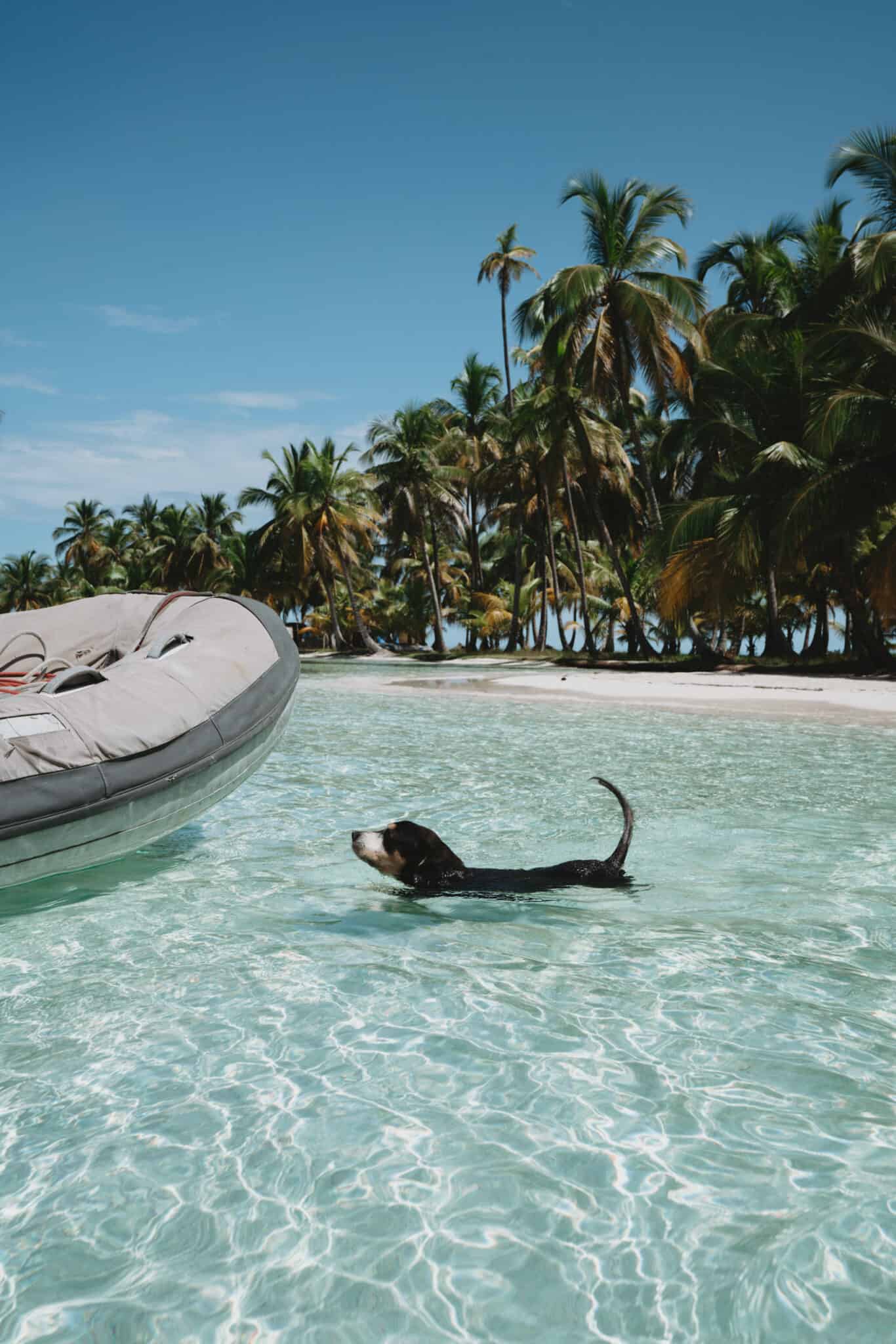 San Blas Islands Dog Beach