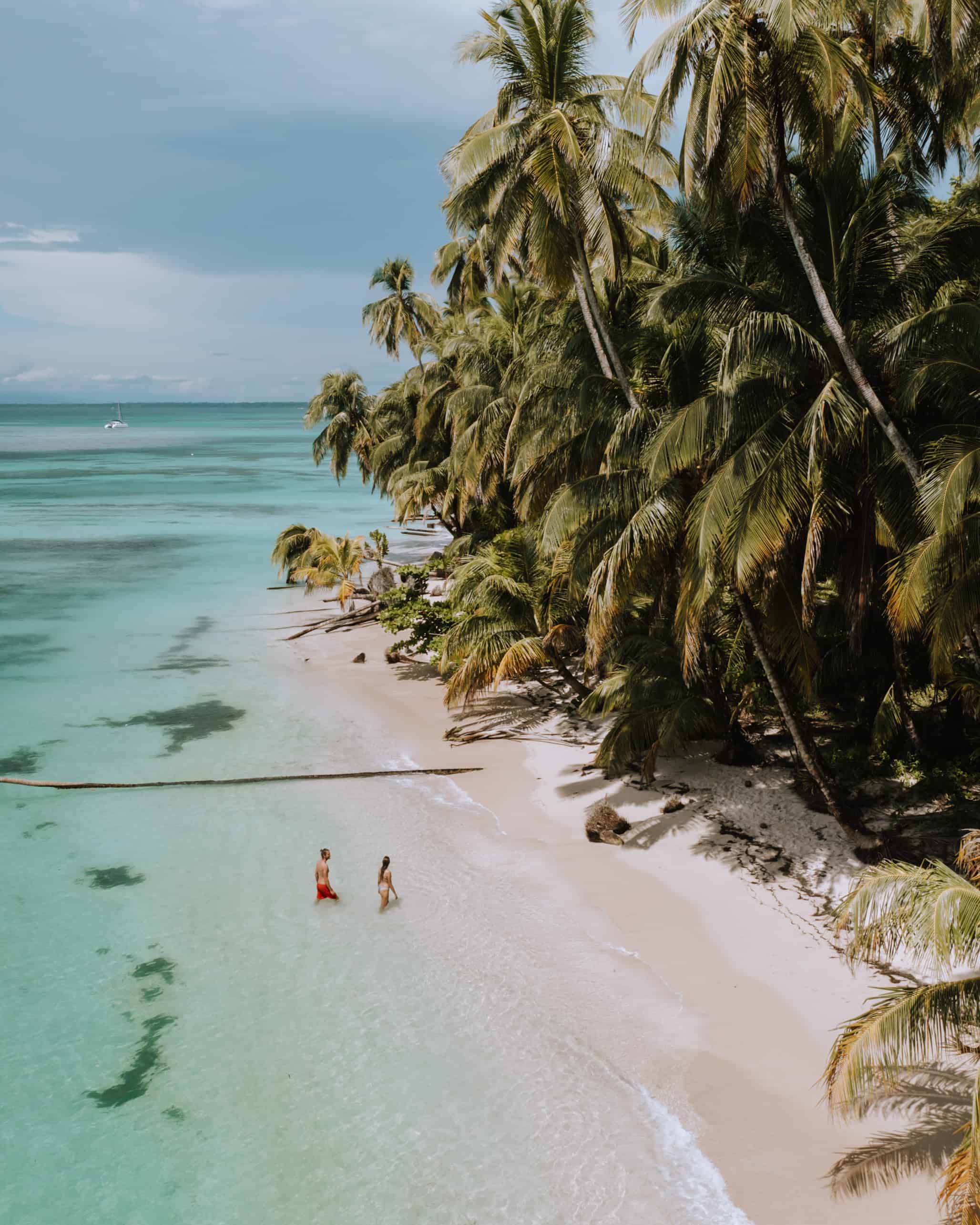 5 Reasons why Eco Travelers love Bocas del Toro Sun Chasing Travelers
