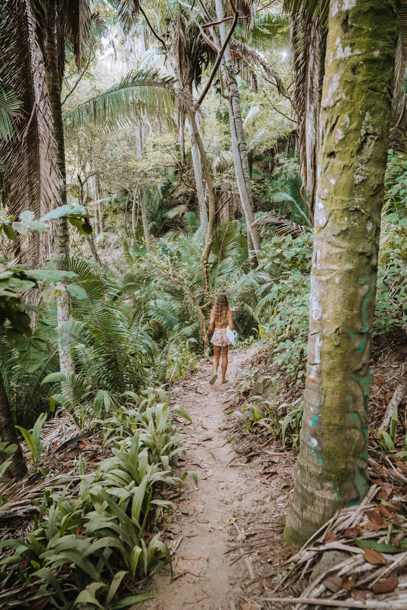 A girl walking down a path in the Sayulita jungle.