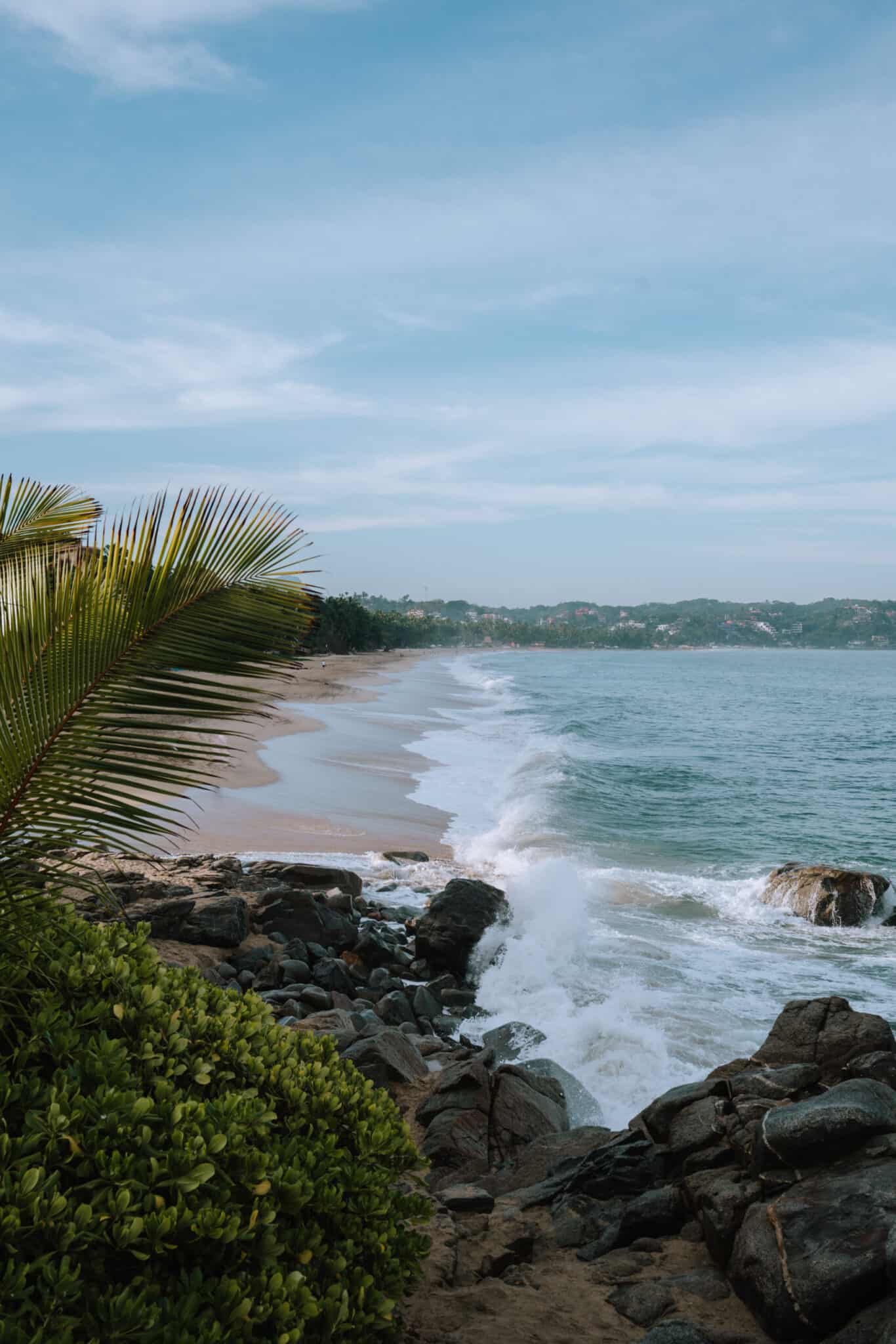 A Sayulita beach with palm trees and rocks in the background.
