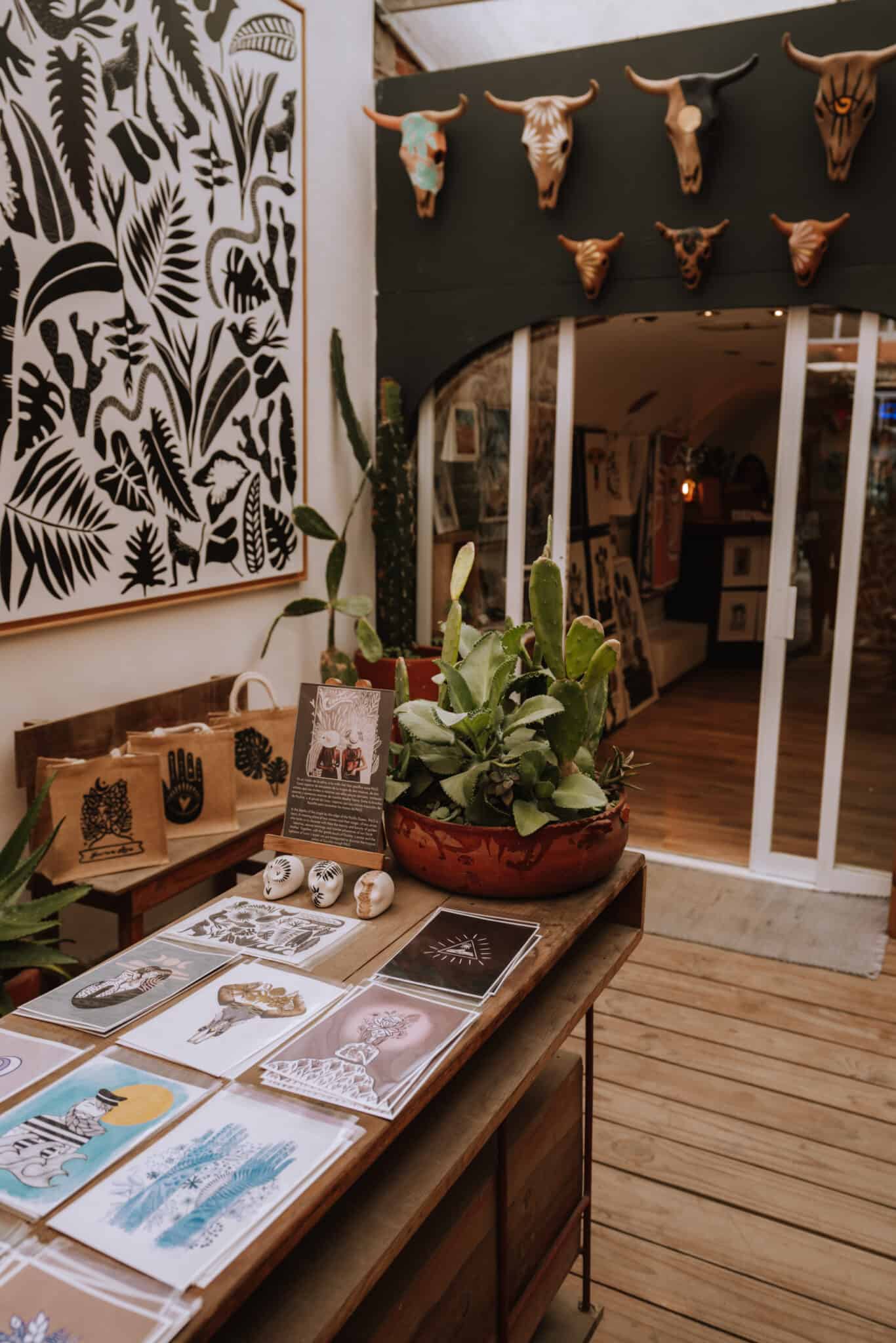 A Sayulita shop with plants and art on the wall.