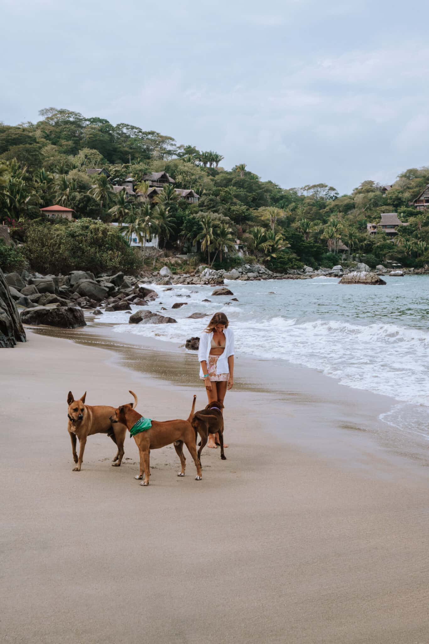 A woman walking her dogs on a beach in Costa Rica near Sayulita.