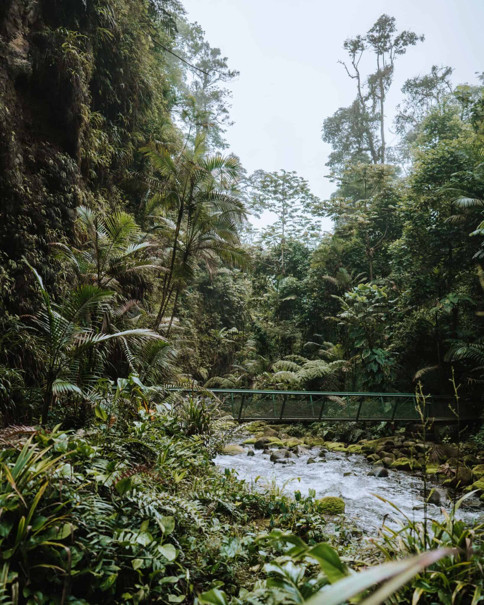 Rio Agrio Waterfall