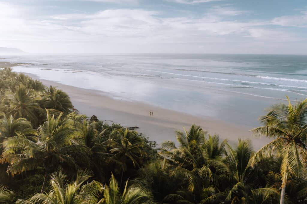 An aerial view of a beach with palm trees.